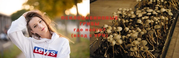 тгк Богданович