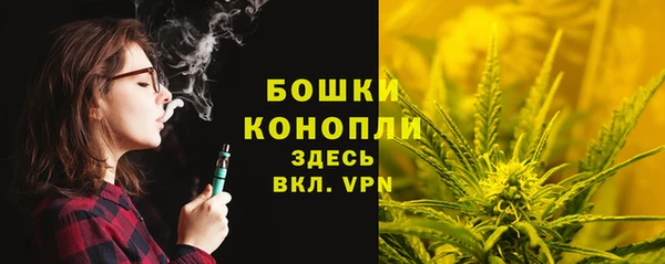 тгк Богданович