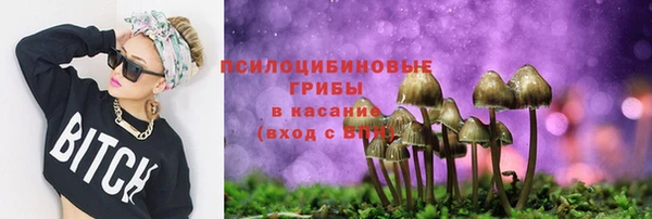тгк Богданович