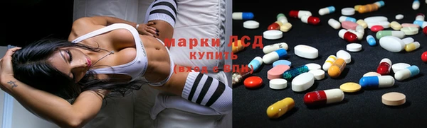 стафф Бородино