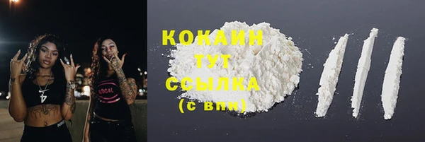 стаф Бугульма