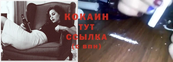 сатива Богородск