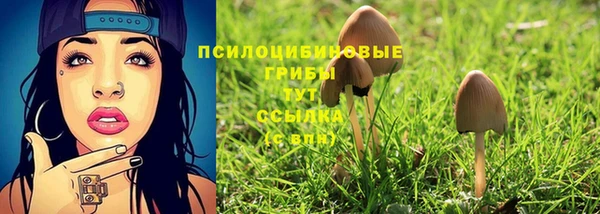сатива Богородск