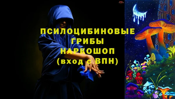стафф Бородино