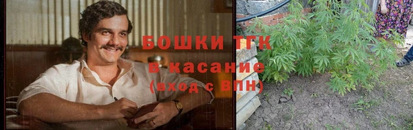 сатива Богородск