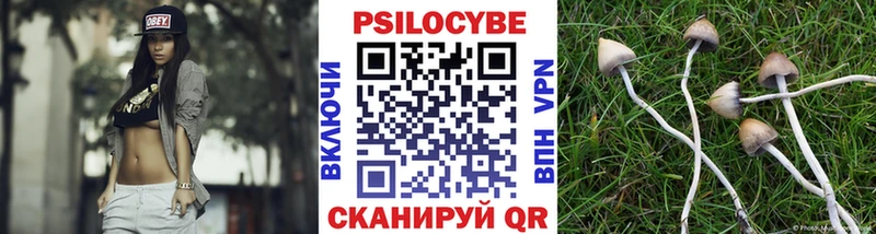 где продают наркотики  Кириллов  Галлюциногенные грибы MAGIC MUSHROOMS 