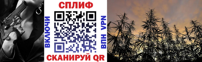 Бошки марихуана SATIVA & INDICA  Кириллов 
